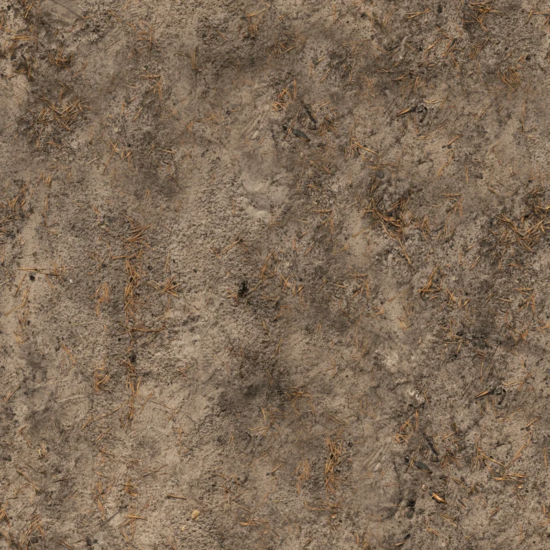 Forest Sand 01