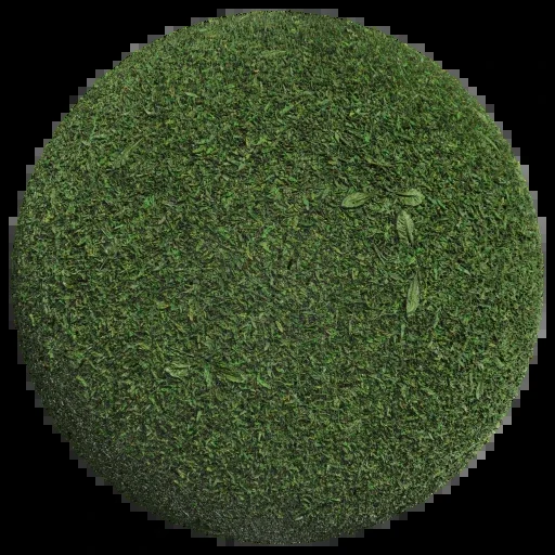 草地 001