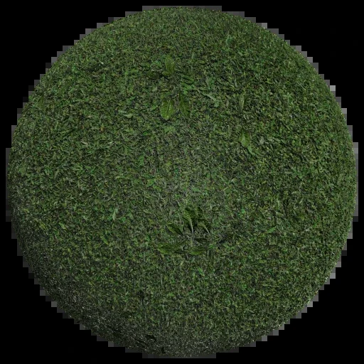草地 002