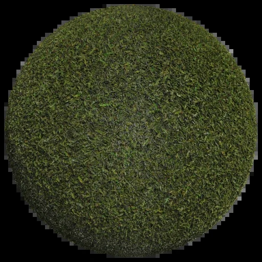 草地 003