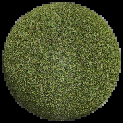 草地 004