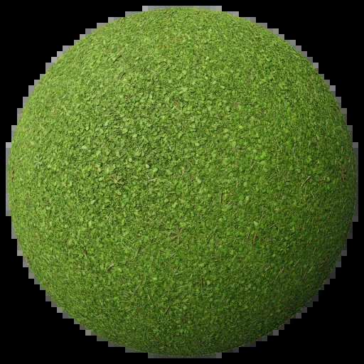 草地 006
