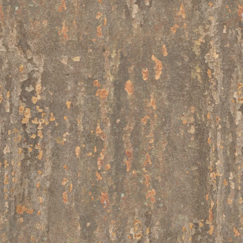 Japanese Zelkova Bark