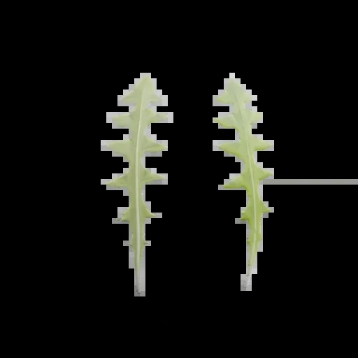 Leaf 002