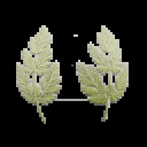 Leaf 003