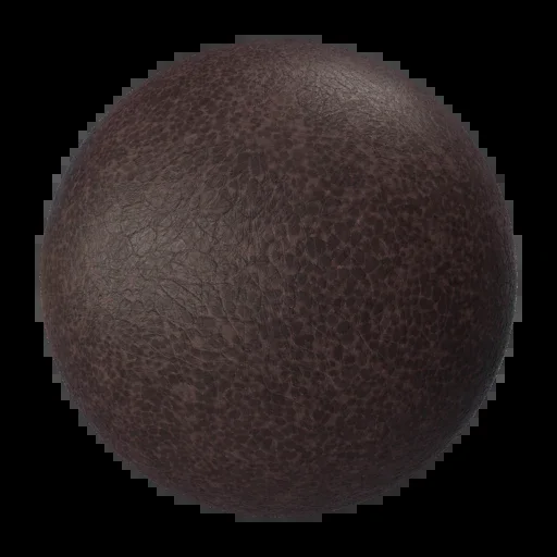 Leather 021