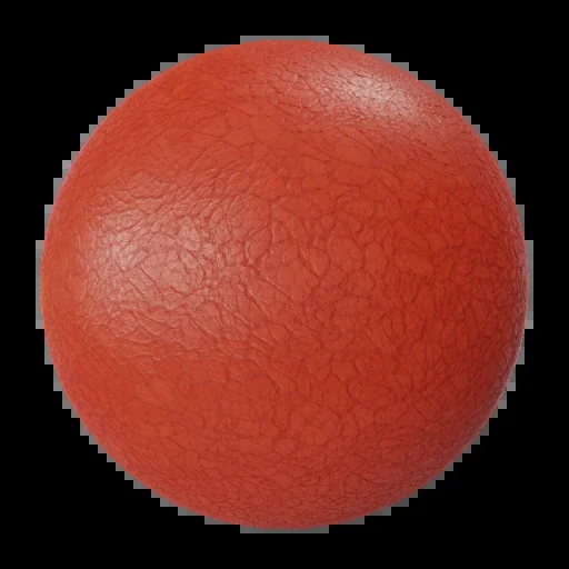 Leather 024