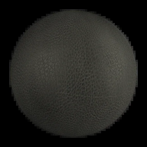 Leather 031
