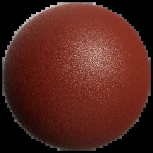 Leather 037