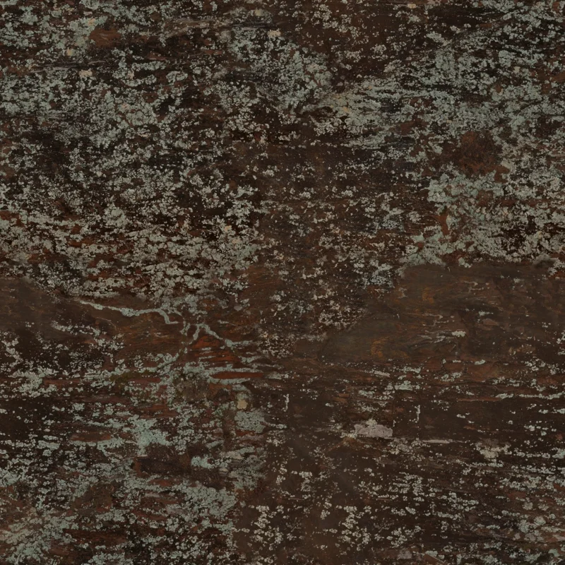 Lichen Rock