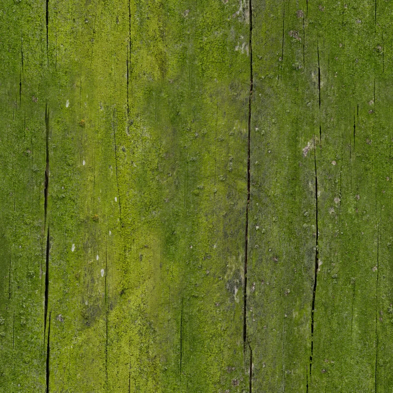 Moss Wood