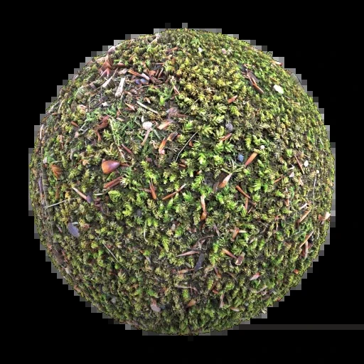 طحلب 001