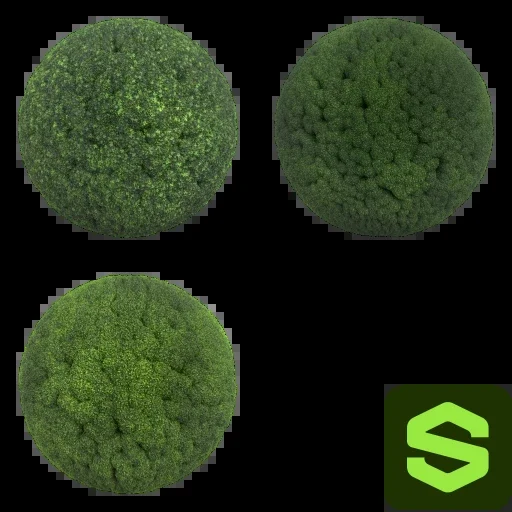 Moss Substance 001