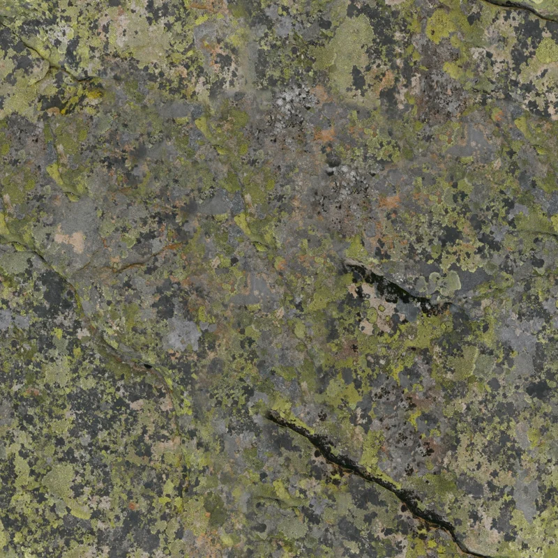 Mossy Rock