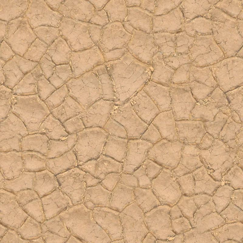 Mud Cracked Dry 03