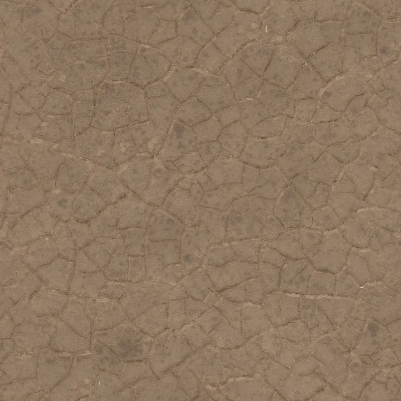 Mud Cracked Dry Riverbed 002