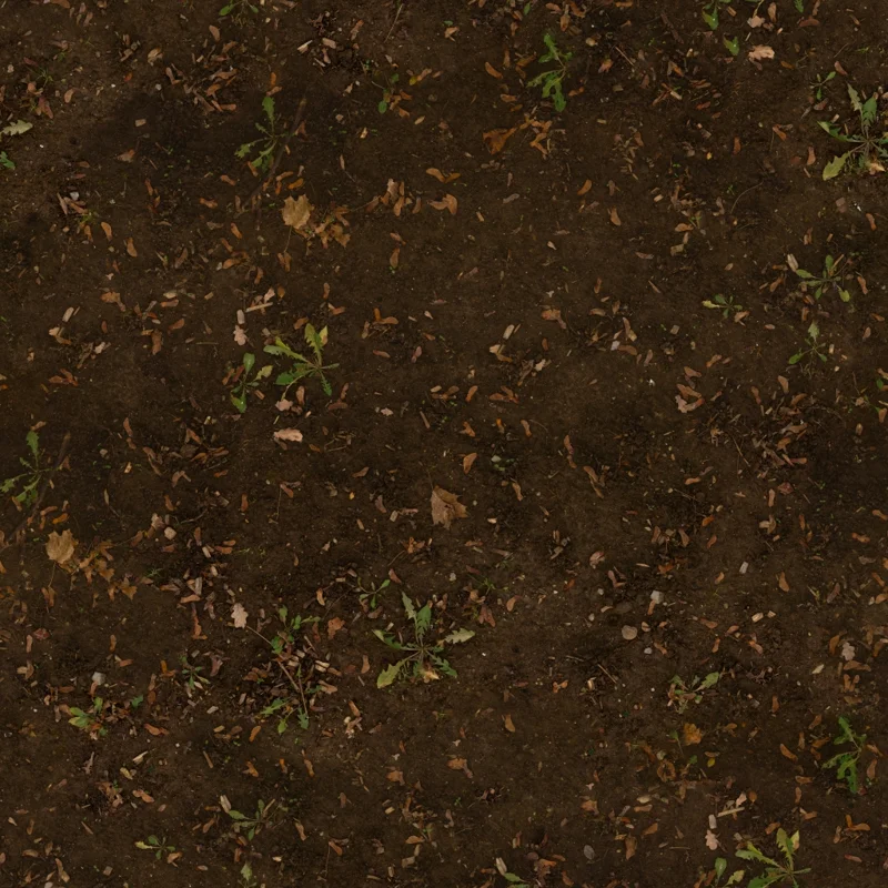 Mud Forest