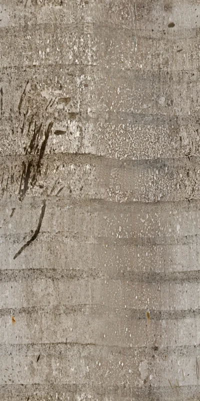 Palm Tree Bark