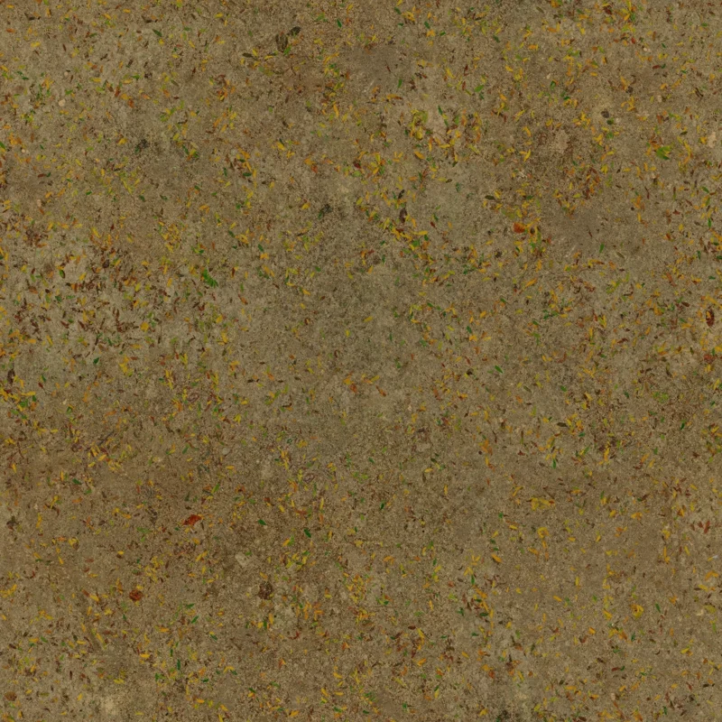 Park Dirt