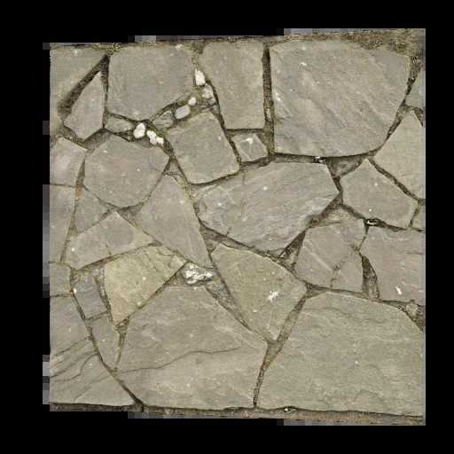 Paving Stones 069