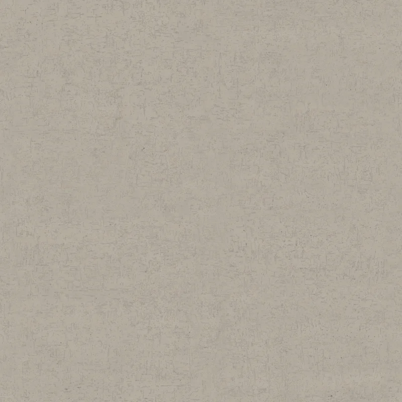 Plastered Wall