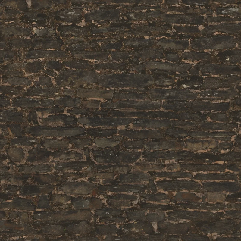 Rabdentse Ruins Wall