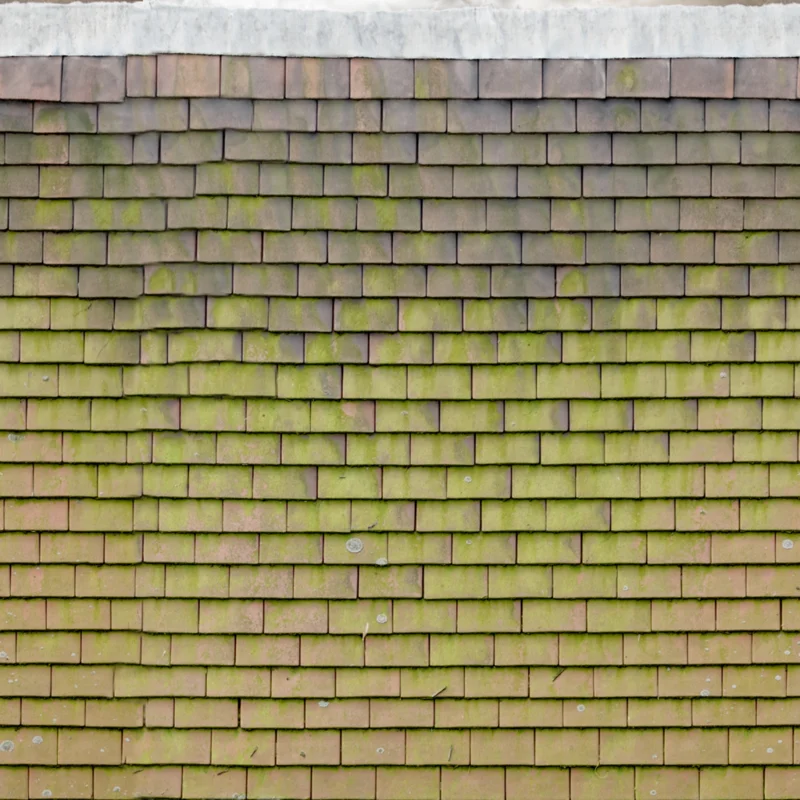 Red Slate Roof Tiles 01