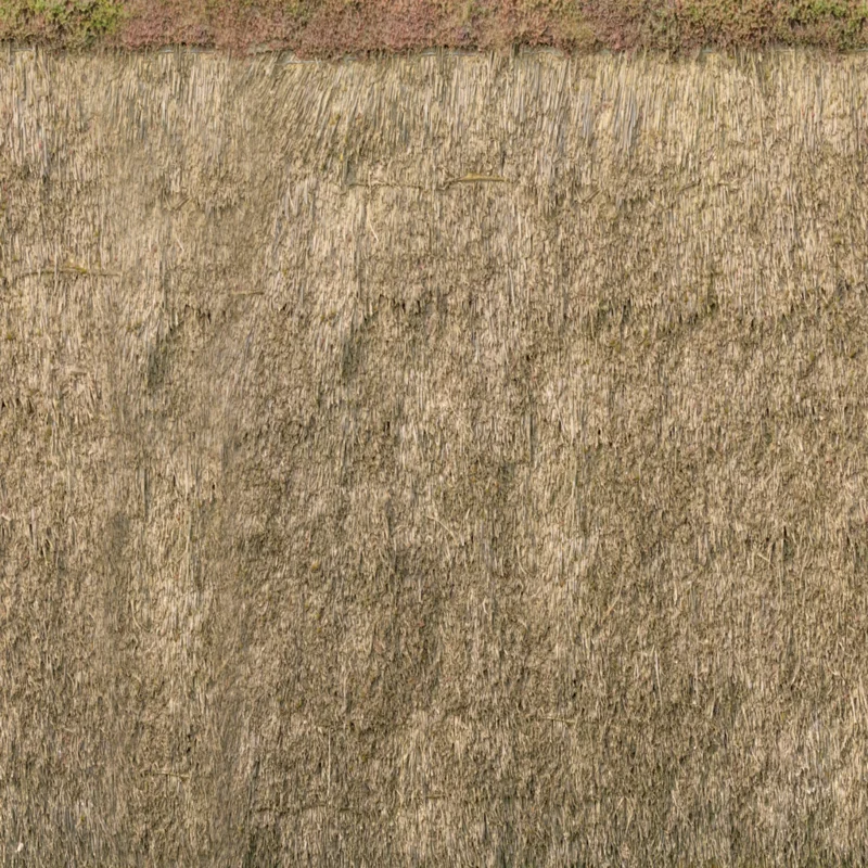 Reed Roof 04