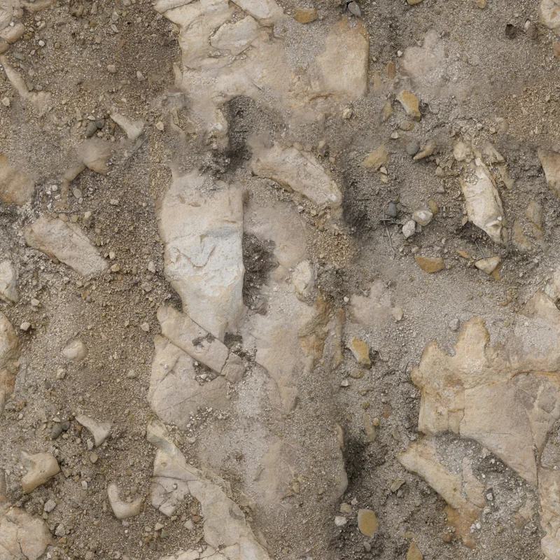 Rocks Ground 06