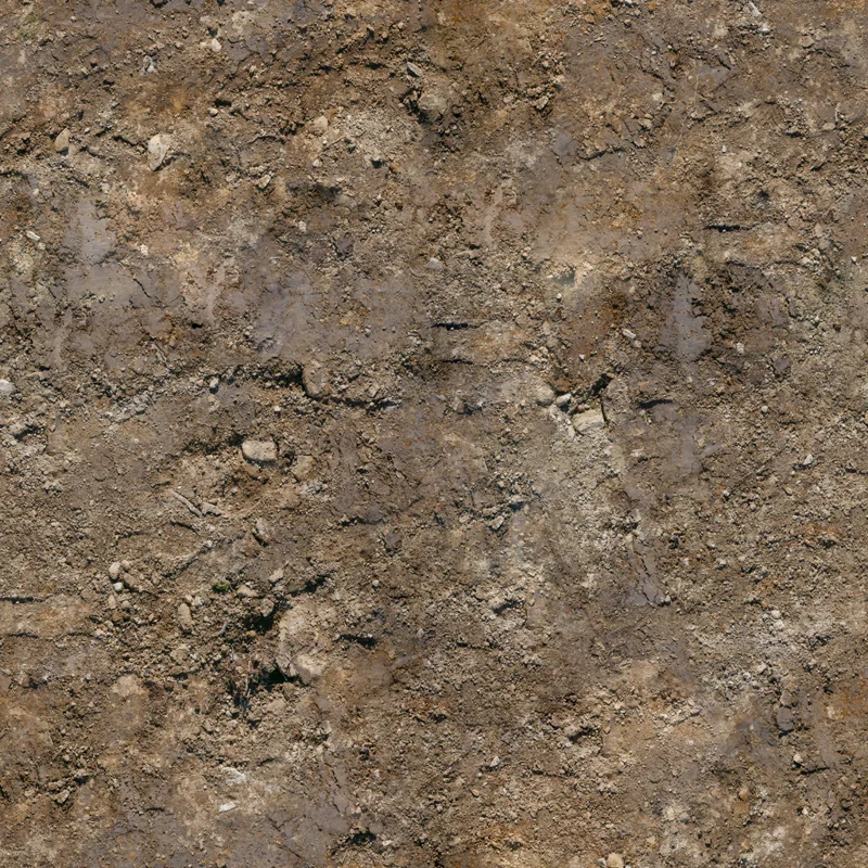 Rocks Ground 08