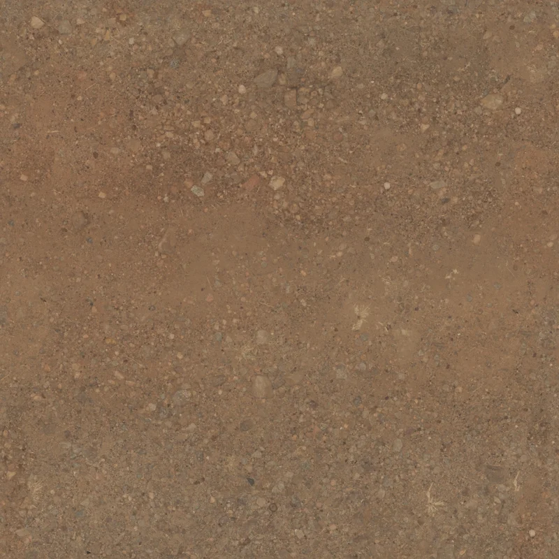 Rocky Trail 02