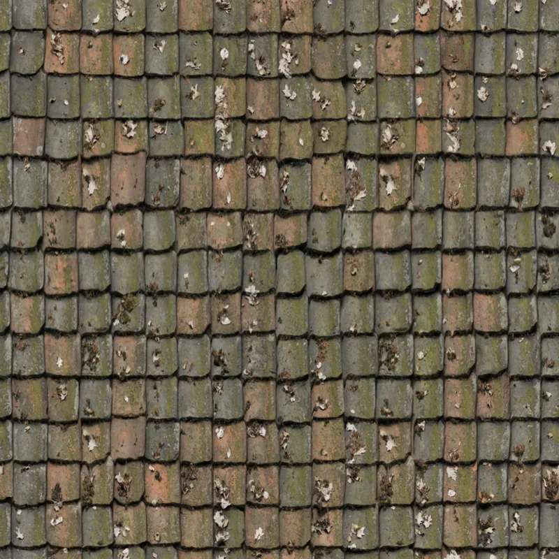 Roof 07
