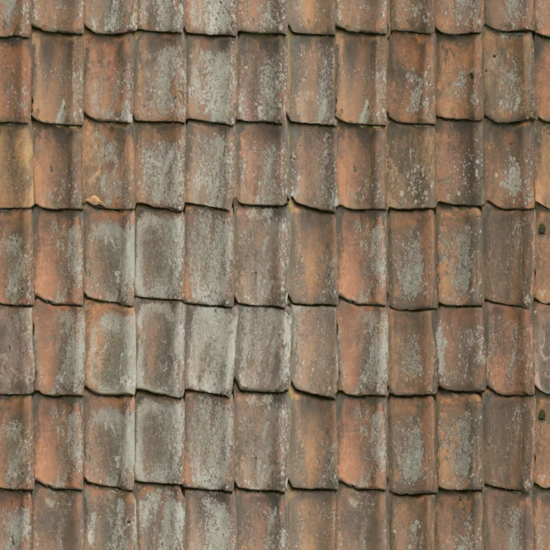 Roof 09