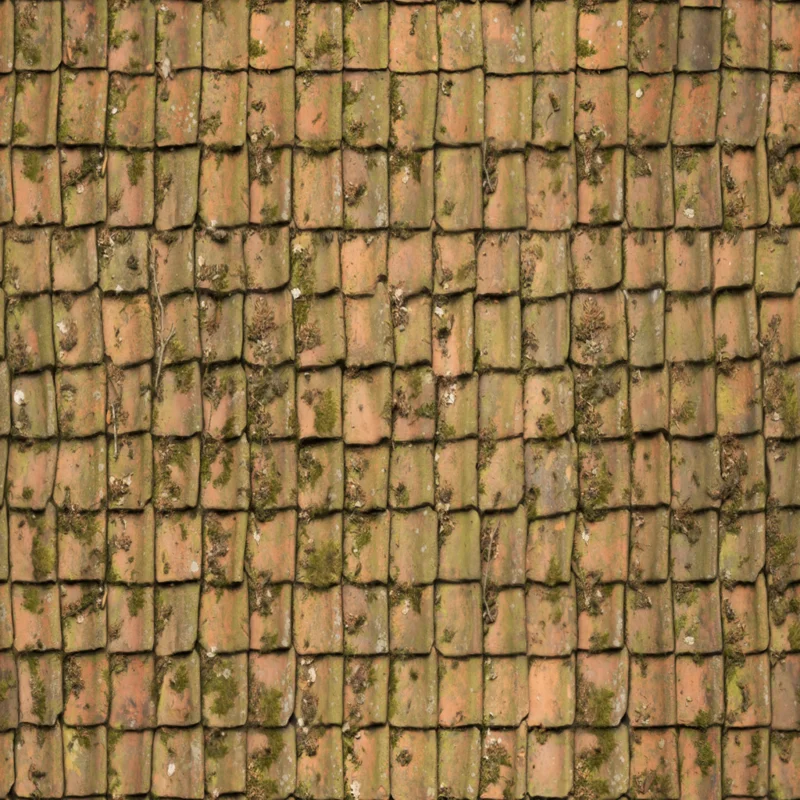 Roof 3