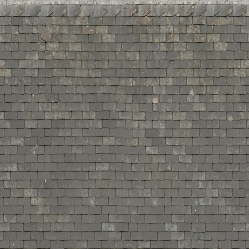 Roof Slates 03