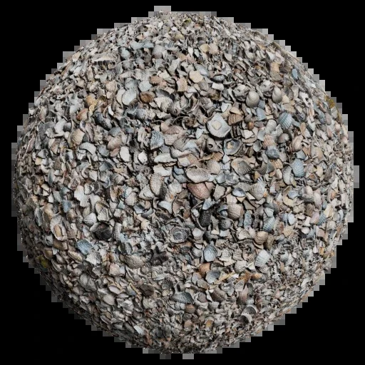 Shells 001