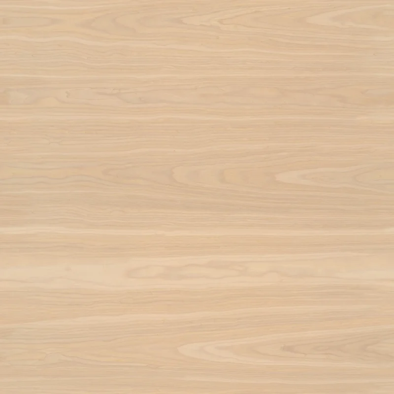 Silver Oak Veneer 01