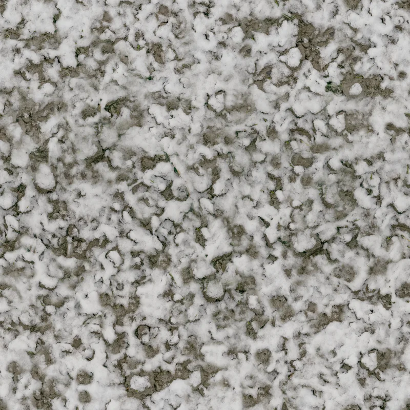 Snow 03