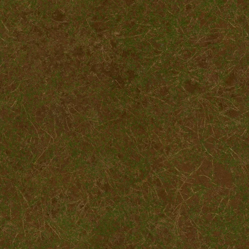 Sparse Grass