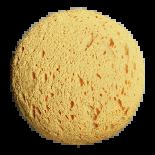Sponge 001