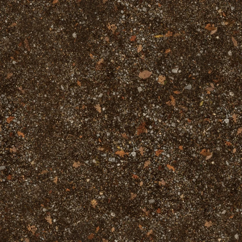 Stony Dirt Path