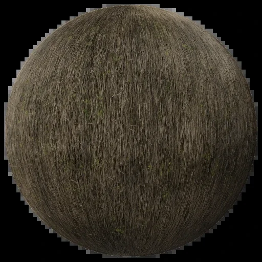 Thatched Roof 001 B