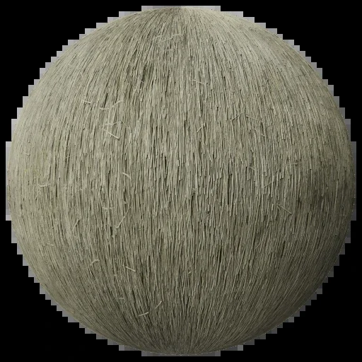 Thatched Roof 002 A