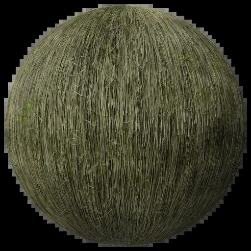 Thatched Roof 002 B