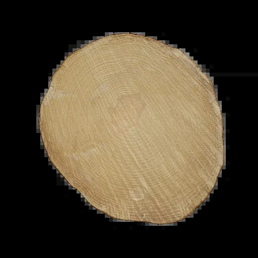 نهاية الشجرة 004