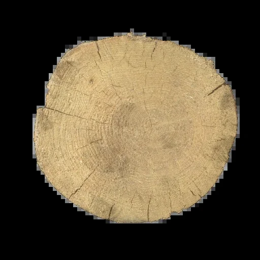 نهاية الشجرة 005