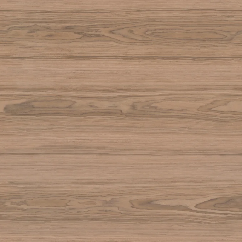 Walnut Veneer 02