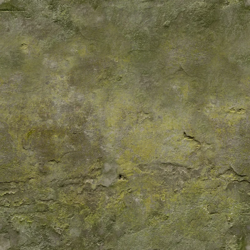 White Plaster Rough 02