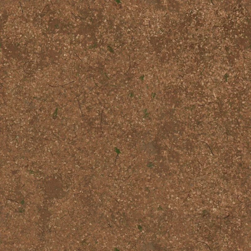 Wood Chip Path