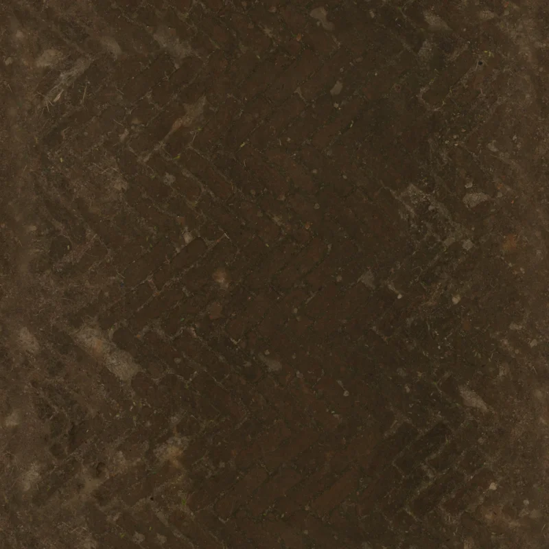 Worn Brick Path